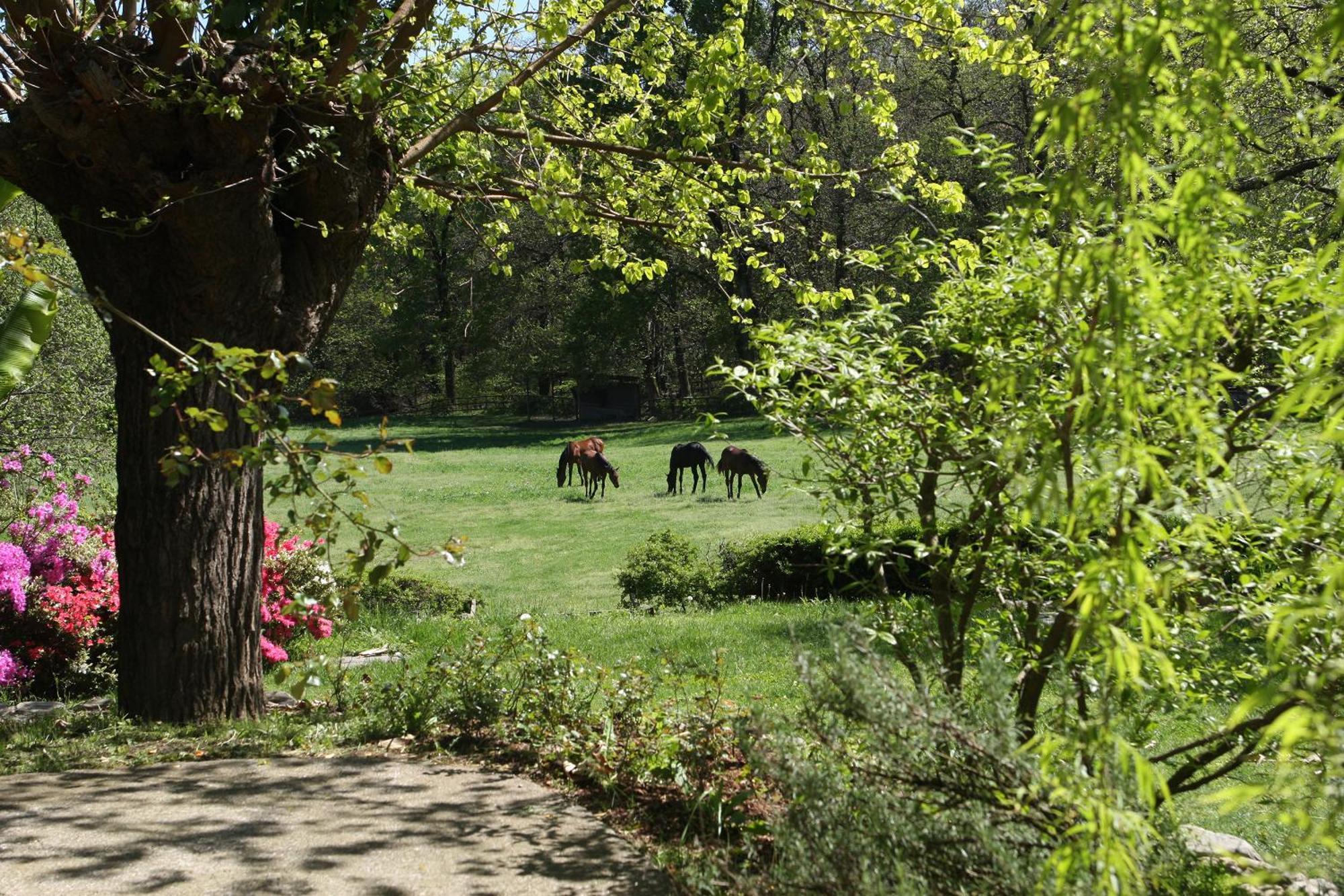 La Cucchetta Bed & Breakfast Dormelletto Eksteriør bilde