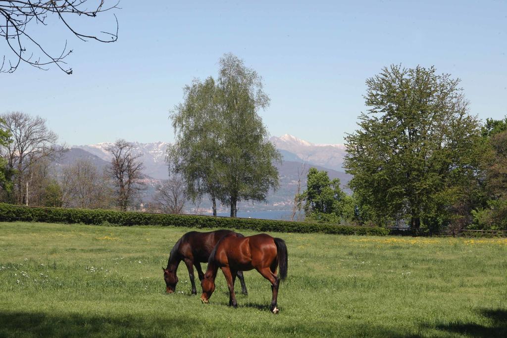 La Cucchetta Bed & Breakfast Dormelletto Eksteriør bilde